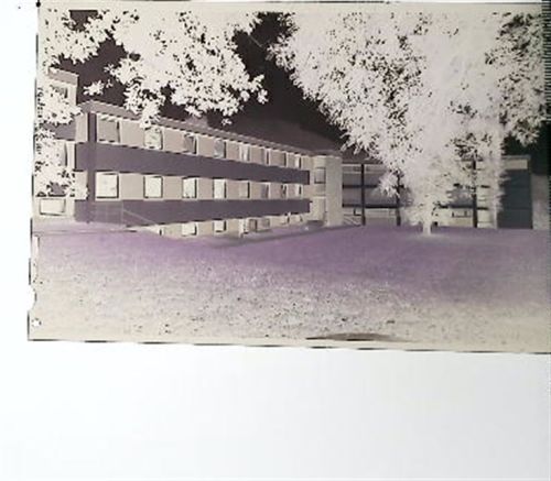 56841 W5580 Wolf , Mosel Kunststoff-Negativ / Dia-Positiv KEINE AK
