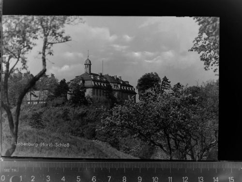 38704 W3384 Liebenburg GLASNEGATIV Schloss
