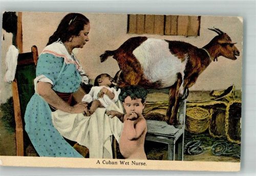 Havanna Ziege Frau mit Kindern