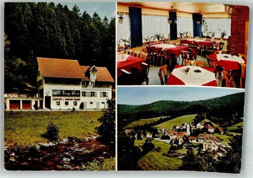 Reinerzau Gasthaus zum rauhen Felsen