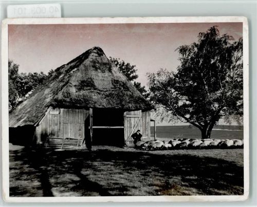 W2120 Lüneburg Schafstall Schafe Lüneburger Heide Schaf FOTO KEINE AK