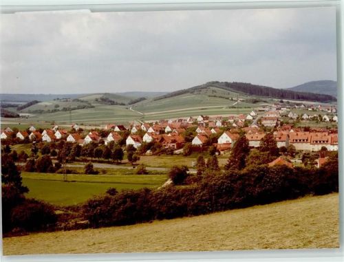 Delligsen