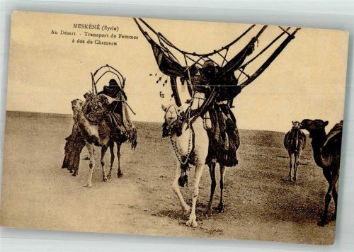 Aleppo Meskene Maskanah Tracht Kamele Transport de Femmes