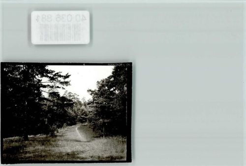Oesterholz-Haustenbeck Heidehof Wald