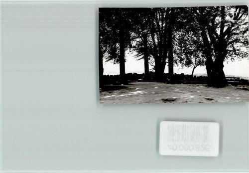 Beerfelden Waldfriedhof