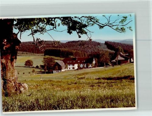 Bad Berleburg Hof Teiche Wittgensteiner Schweiz