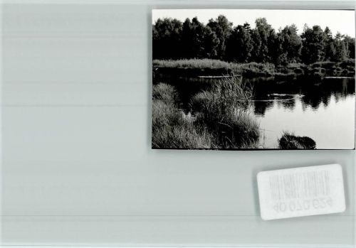 Bad Wurzach Riedsee