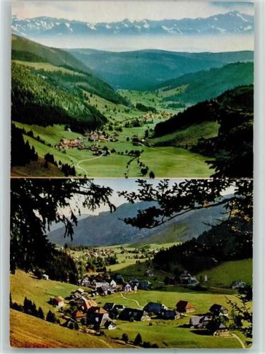 Menzenschwand Blick vom Feldberg ins Menzenschwander Tal Gesamtansicht von Norden 2-Bildaufnahme