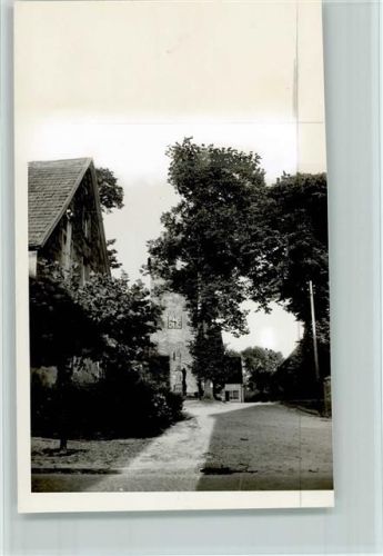 Schapdetten Foto AKU2