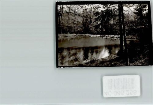 Steinebach Waldsee