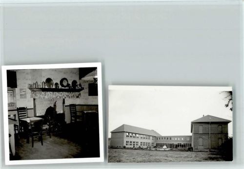 Apen Zwei Fotos