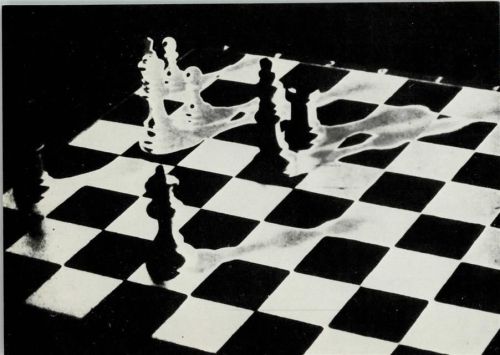 Weisser und schwarzer Läufer AKU1 Schach