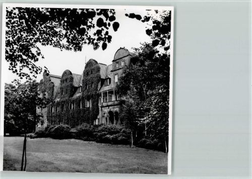 Stadthagen Weinlaub bedeckt die Häuserfassaden Foto 11 x 14 cm
