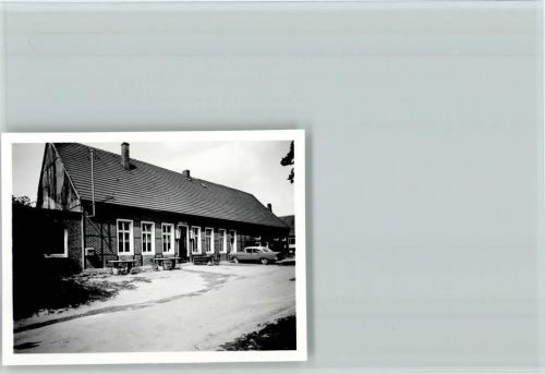 Schapdetten Foto