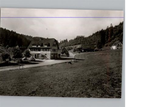 Erbersbronn Gasthaus zum grünen Wald