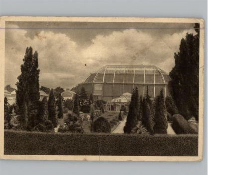 Dahlem