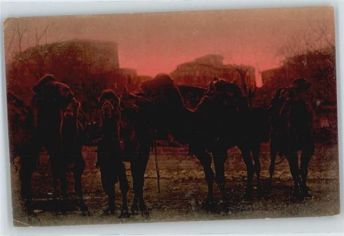 im Sonnenuntergang