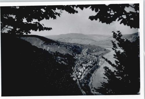 Briedel Foto