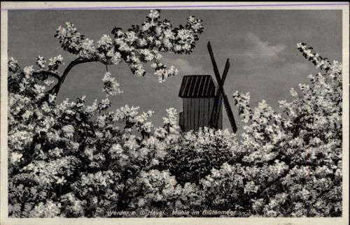 Werder