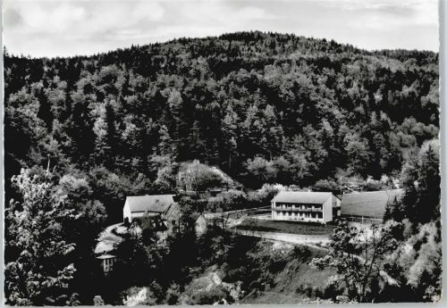 Schlehenmühle Gasthaus, Pension Friedrich