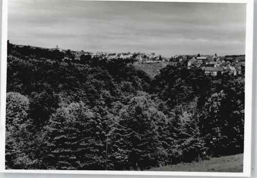 Gräveneck Foto Wald Haus Panorama
