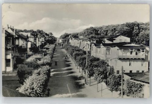 Sellin Wilhelm-Pieck-Straße Baum Haus Fußgänger