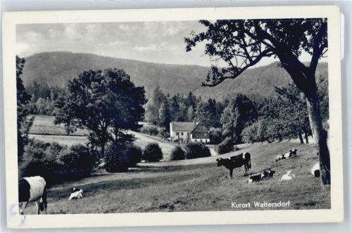 Waltersdorf