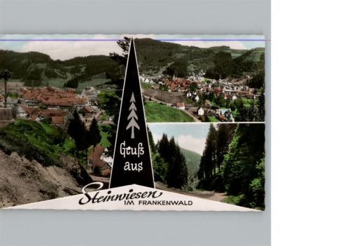 Steinwiesen