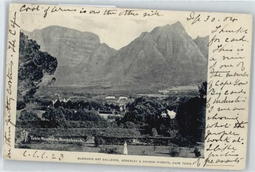 Rondebosch