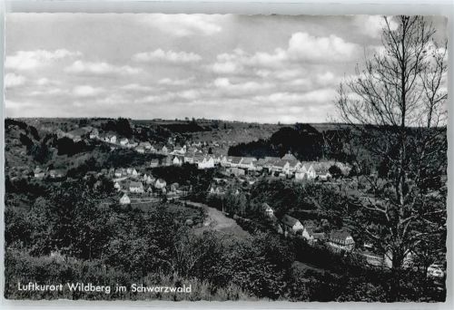 Wildberg Baum Wiese Haus