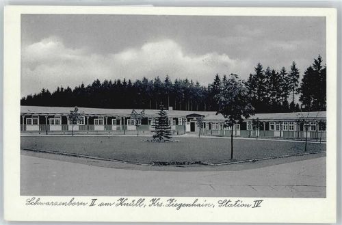 Schwarzenborn Wiese Baum Haus