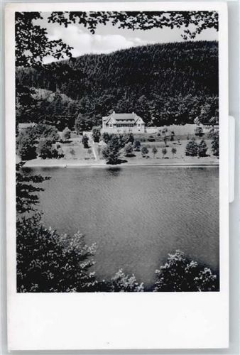 Edersee See Baum Haus