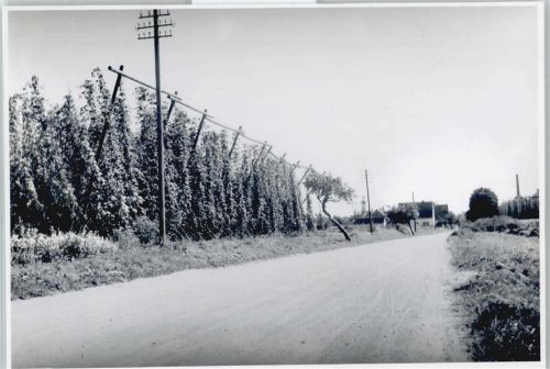 Geisenfeld Foto-Karte