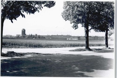 Rüsselsheim Foto Baum Feld Haus