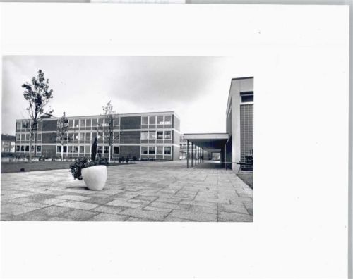 Rüsselsheim Foto Haus Baum