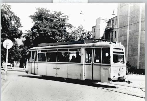 Cottbus 1965 Straßenbahn Baum