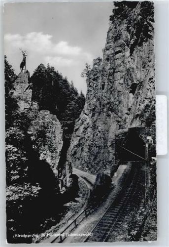 Falkensteig Hirschsprung