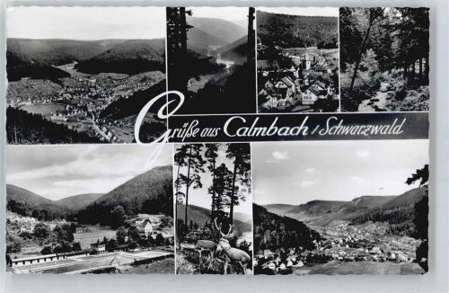 Calmbach Schwimmbad