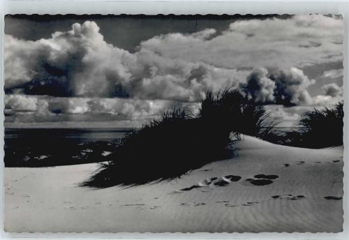 Dünen am Meer