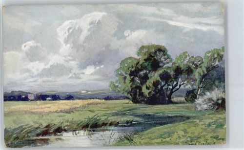 Wiese