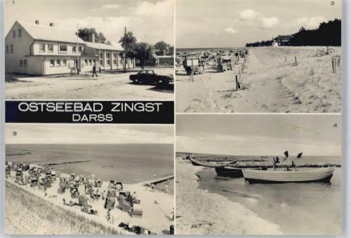 Zingst Erholungsheim Stranddistel