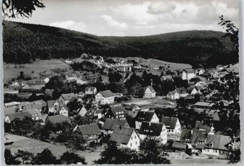 Klosterreichenbach Panorama Berg