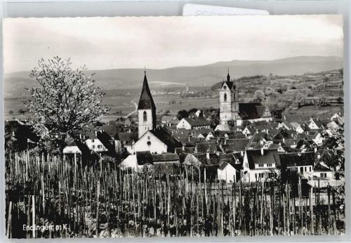 Endingen Gesamtansicht