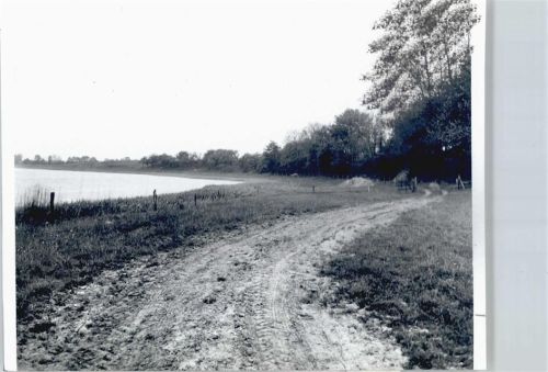 Ulsnis Foto mit Negativ