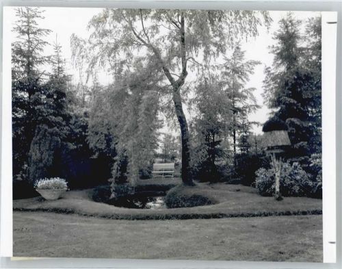 Lilienthal Foto mit Negativ