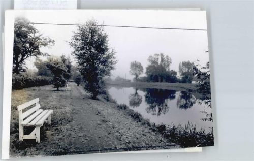 Apen Foto mit Negativ