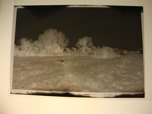 Hemmoor Negativ