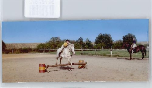 Clenze Foto, Pferd, Reiterhof