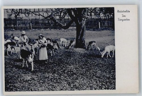 Neustrelitz Im Tiergarten