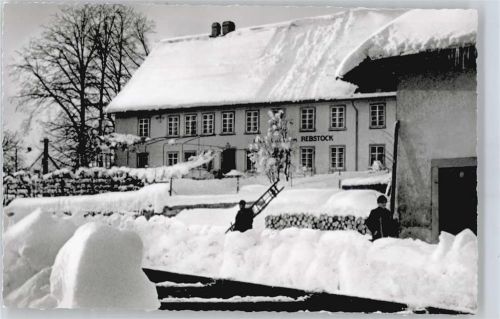Görwihl Gasthaus, Pension Rebstock